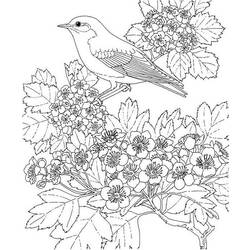 Coloring page: Spring season (Nature) #165058 - Free Printable Coloring Pages