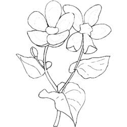 Coloring page: Spring season (Nature) #165076 - Free Printable Coloring Pages