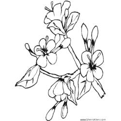 Coloring page: Spring season (Nature) #165094 - Free Printable Coloring Pages