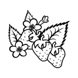 Coloring page: Summer season (Nature) #165116 - Printable coloring pages