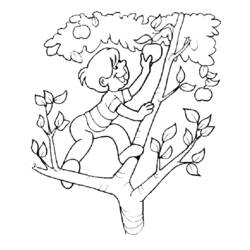 Coloring page: Summer season (Nature) #165236 - Free Printable Coloring Pages