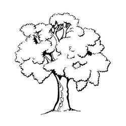 Coloring page: Tree (Nature) #154683 - Printable coloring pages