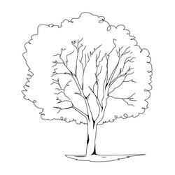 Coloring page: Tree (Nature) #154693 - Free Printable Coloring Pages