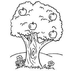 Coloring page: Tree (Nature) #154702 - Printable coloring pages