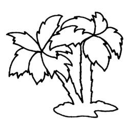 Coloring page: Tree (Nature) #154713 - Free Printable Coloring Pages