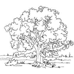 Coloring page: Tree (Nature) #154714 - Printable coloring pages