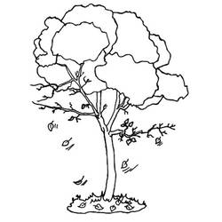 Coloring page: Tree (Nature) #154720 - Free Printable Coloring Pages