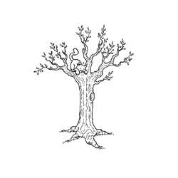 Coloring page: Tree (Nature) #154721 - Printable coloring pages
