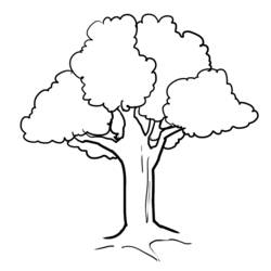 Coloring page: Tree (Nature) #154722 - Printable coloring pages