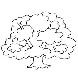 Coloring page: Tree (Nature) #154730 - Free Printable Coloring Pages