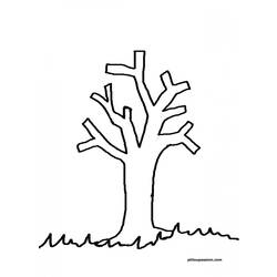 Coloring page: Tree (Nature) #154737 - Printable coloring pages
