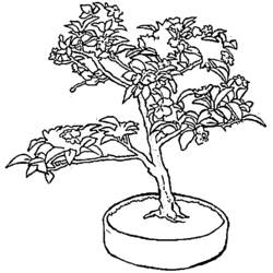 Coloring page: Tree (Nature) #154738 - Free Printable Coloring Pages