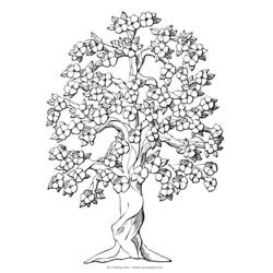 Coloring page: Tree (Nature) #154739 - Free Printable Coloring Pages
