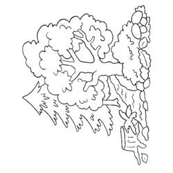 Coloring page: Tree (Nature) #154741 - Free Printable Coloring Pages