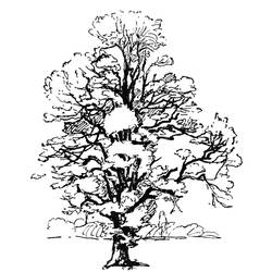 Coloring page: Tree (Nature) #154743 - Free Printable Coloring Pages