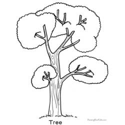 Coloring page: Tree (Nature) #154747 - Free Printable Coloring Pages