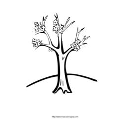 Coloring page: Tree (Nature) #154761 - Free Printable Coloring Pages