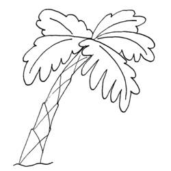 Coloring page: Tree (Nature) #154770 - Free Printable Coloring Pages