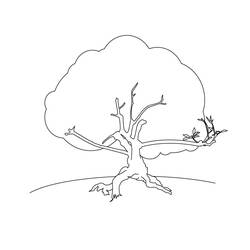 Coloring page: Tree (Nature) #154774 - Free Printable Coloring Pages