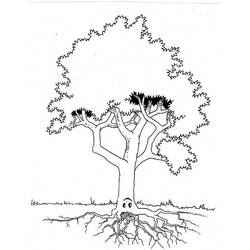 Coloring page: Tree (Nature) #154775 - Free Printable Coloring Pages