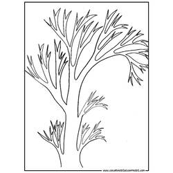 Coloring page: Tree (Nature) #154788 - Free Printable Coloring Pages