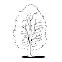 Coloring page: Tree (Nature) #154791 - Free Printable Coloring Pages