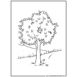 Coloring page: Tree (Nature) #154804 - Free Printable Coloring Pages
