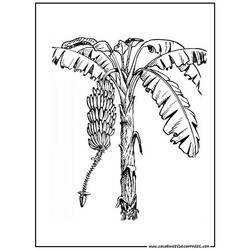 Coloring page: Tree (Nature) #154838 - Free Printable Coloring Pages