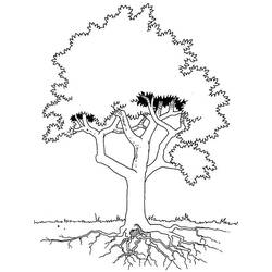 Coloring page: Tree (Nature) #154887 - Free Printable Coloring Pages