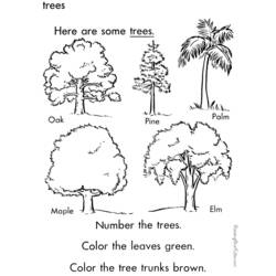 Coloring page: Tree (Nature) #154914 - Free Printable Coloring Pages