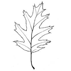 Coloring page: Tree (Nature) #154919 - Printable coloring pages