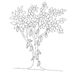 Coloring page: Tree (Nature) #154928 - Free Printable Coloring Pages