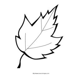 Coloring page: Tree (Nature) #154950 - Printable coloring pages