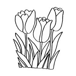 Coloring page: Tulip (Nature) #161613 - Printable coloring pages