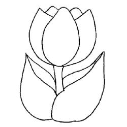 Coloring page: Tulip (Nature) #161621 - Free Printable Coloring Pages
