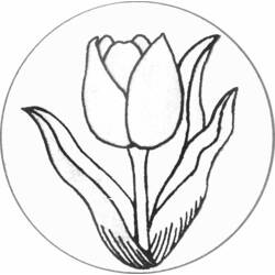 Coloring page: Tulip (Nature) #161622 - Printable coloring pages