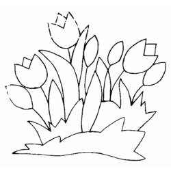 Coloring page: Tulip (Nature) #161624 - Free Printable Coloring Pages