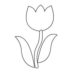 Coloring page: Tulip (Nature) #161625 - Printable coloring pages