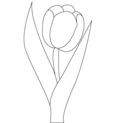 Coloring page: Tulip (Nature) #161627 - Printable coloring pages
