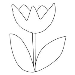 Coloring page: Tulip (Nature) #161628 - Free Printable Coloring Pages