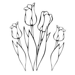 Coloring page: Tulip (Nature) #161632 - Free Printable Coloring Pages
