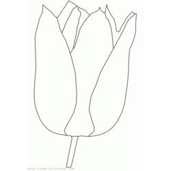 Coloring page: Tulip (Nature) #161633 - Free Printable Coloring Pages
