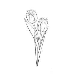 Coloring page: Tulip (Nature) #161635 - Free Printable Coloring Pages