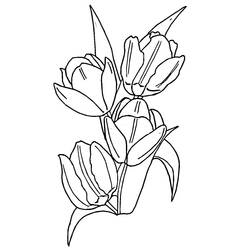 Coloring page: Tulip (Nature) #161636 - Free Printable Coloring Pages