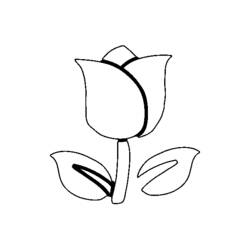 Coloring page: Tulip (Nature) #161638 - Free Printable Coloring Pages