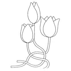 Coloring page: Tulip (Nature) #161639 - Free Printable Coloring Pages