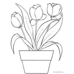 Coloring page: Tulip (Nature) #161661 - Printable coloring pages