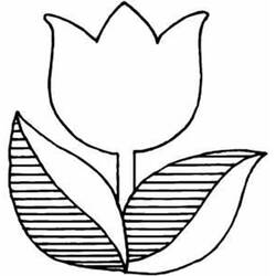 Coloring page: Tulip (Nature) #161662 - Printable coloring pages