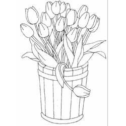 Coloring page: Tulip (Nature) #161666 - Free Printable Coloring Pages