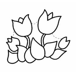 Coloring page: Tulip (Nature) #161676 - Free Printable Coloring Pages